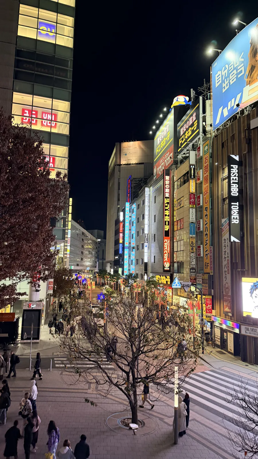 Les néons de Shinjuku, à Tokyo